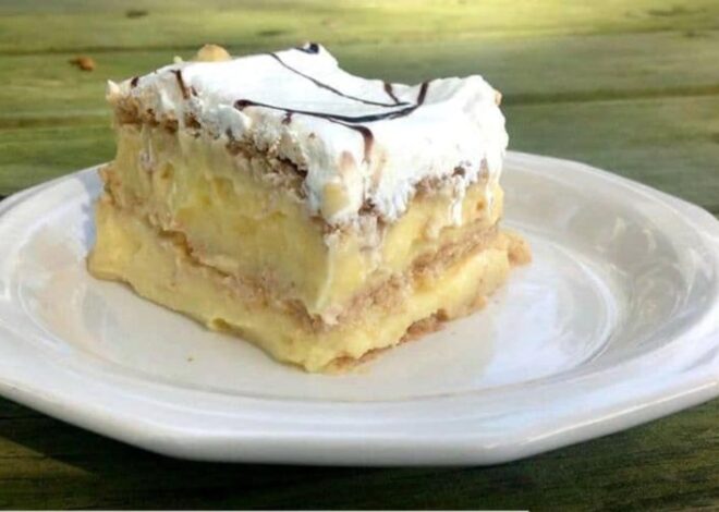 Easy 3 Ingredient No Bake Pudding Cake!