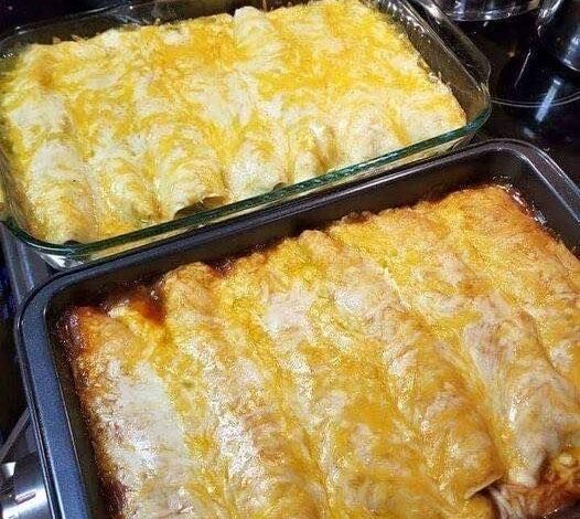 Vegan Veggie Enchiladas
